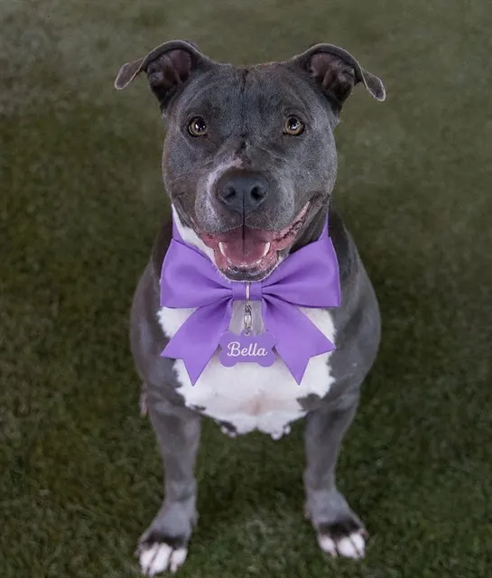 Bella