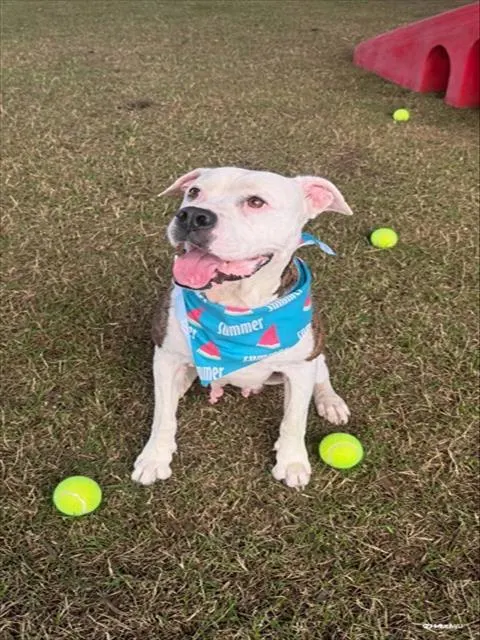 Lena