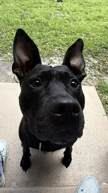 Zoey