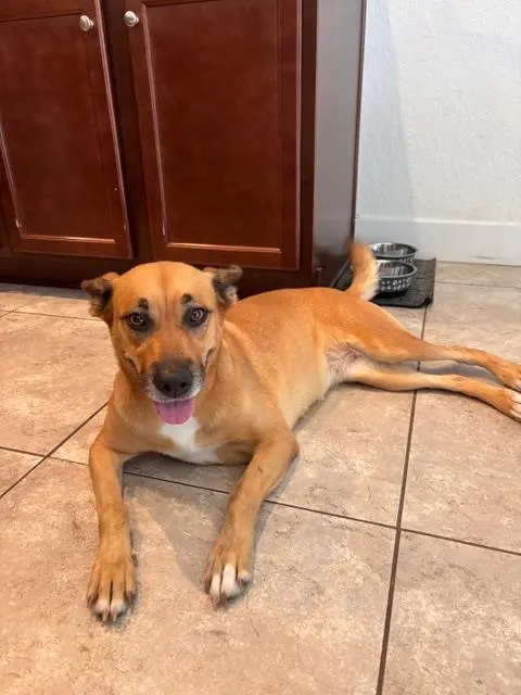Luna