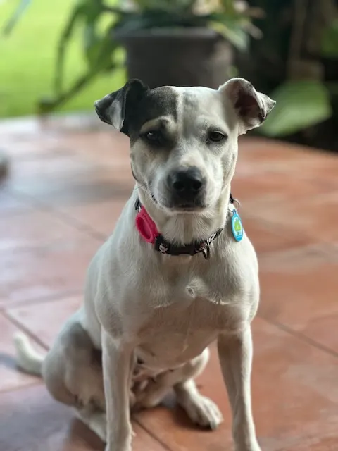 Samantha