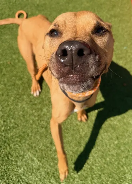 Max