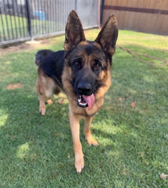 Vader