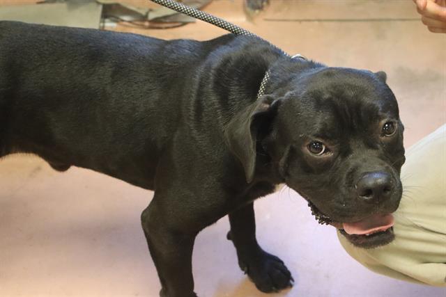 Max