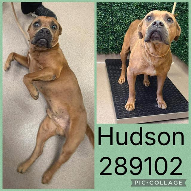 Hudson