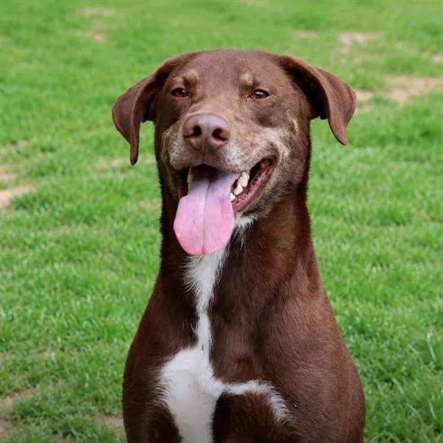 Coco