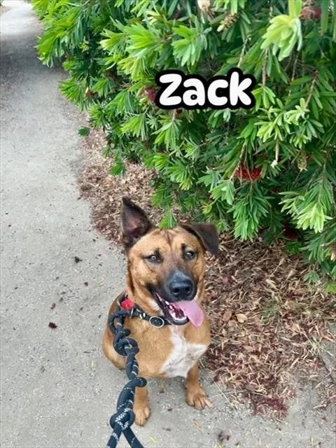 Zack
