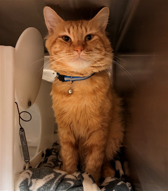 Oliver