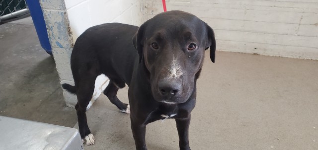 Eduardo
