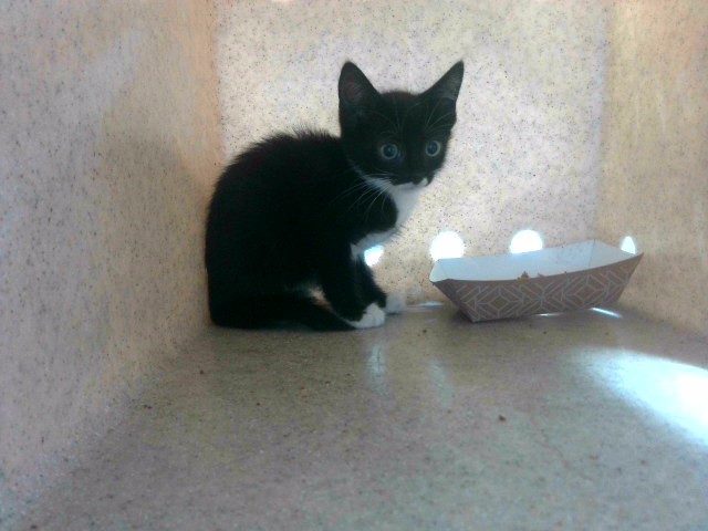 Betty
