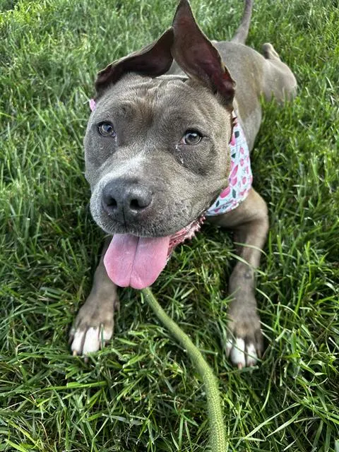 Luna