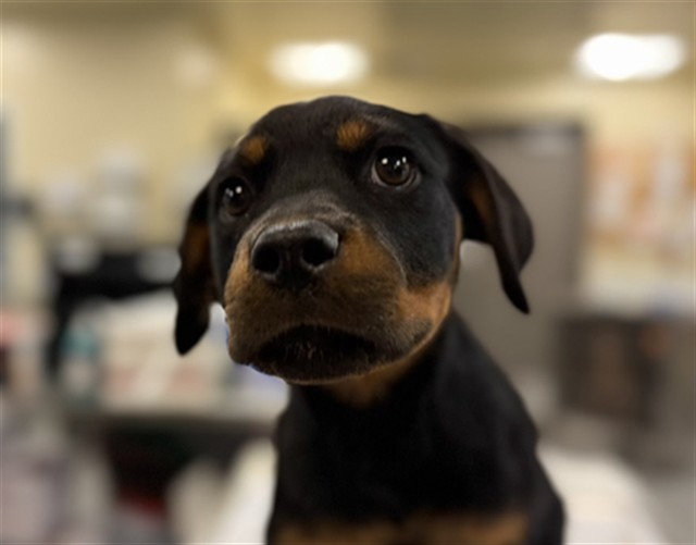 Winnie