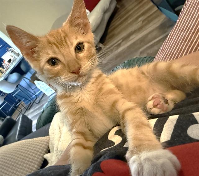 Oliver