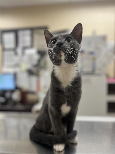 Tom