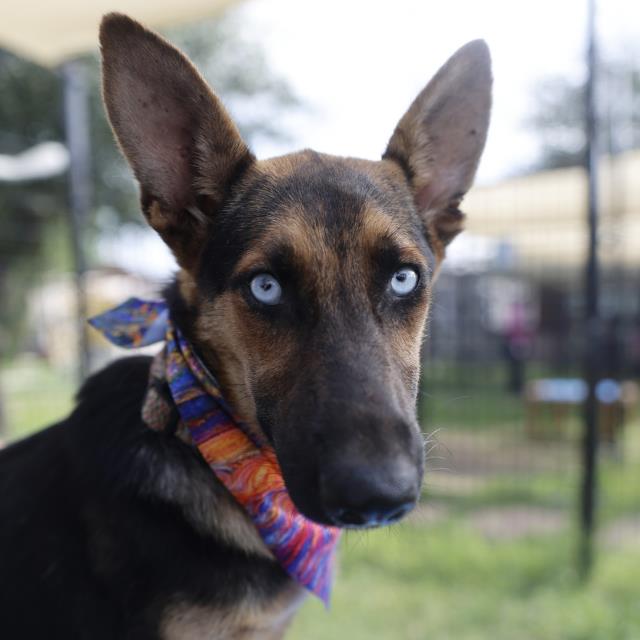 Skye