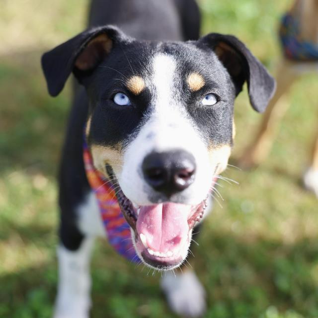 Benny