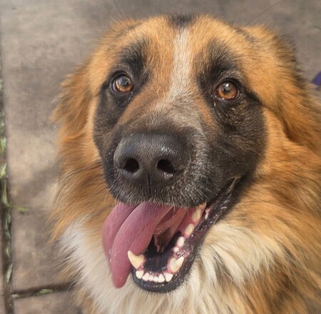 Beasley