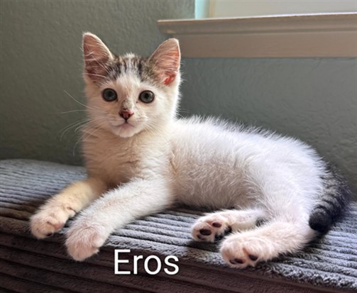 Eros