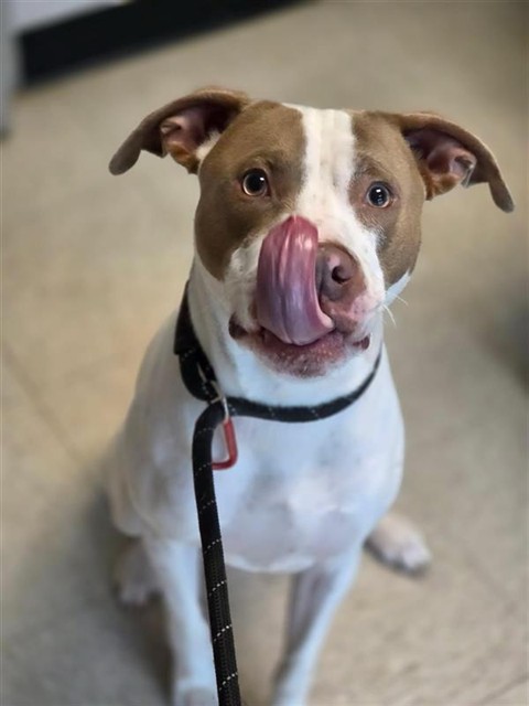 Barkley
