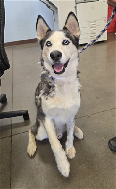 Jax