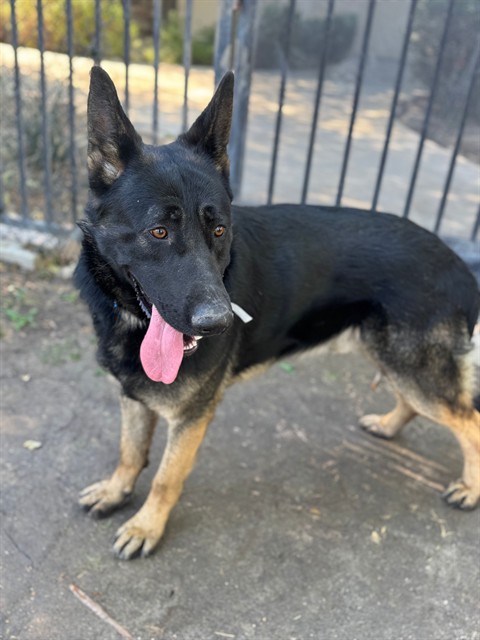 Ares