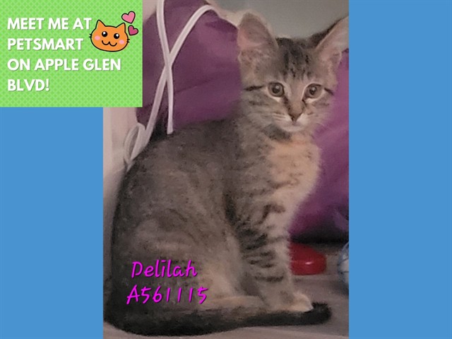 Delilah