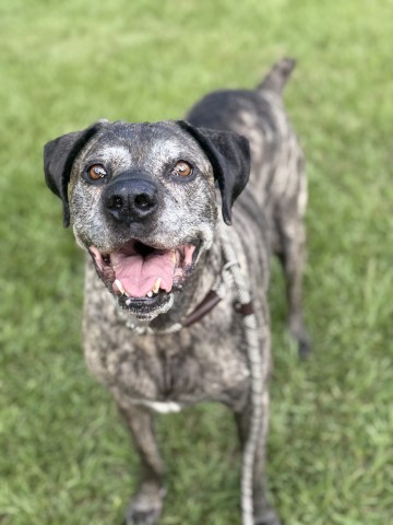 Zeus