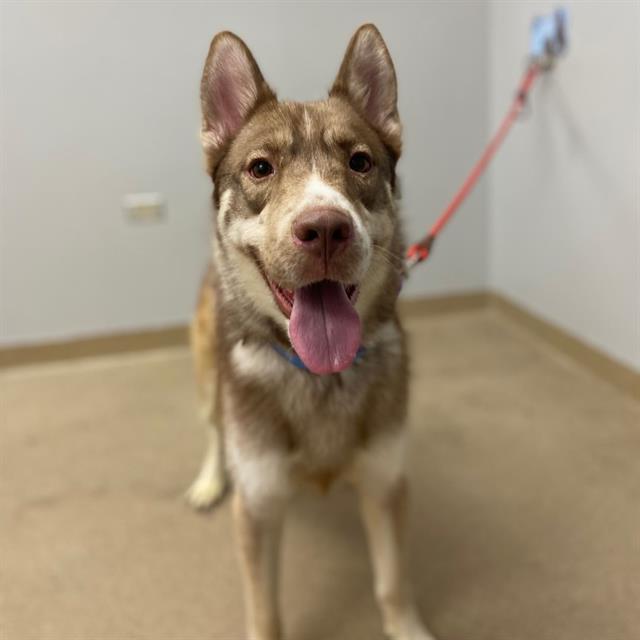 Zeus