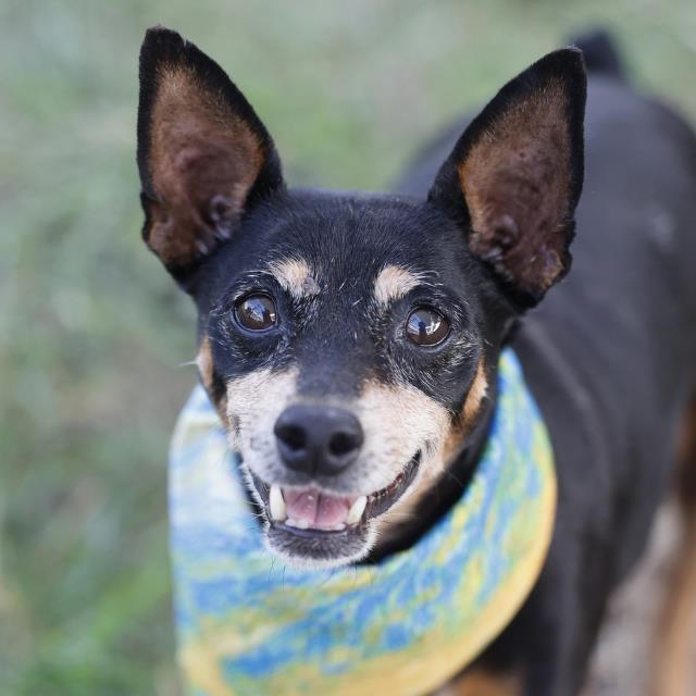 Rosita