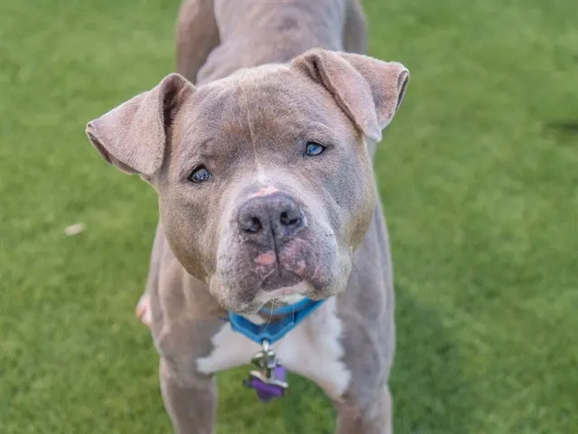 Nora
