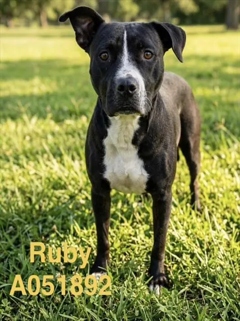 Ruby