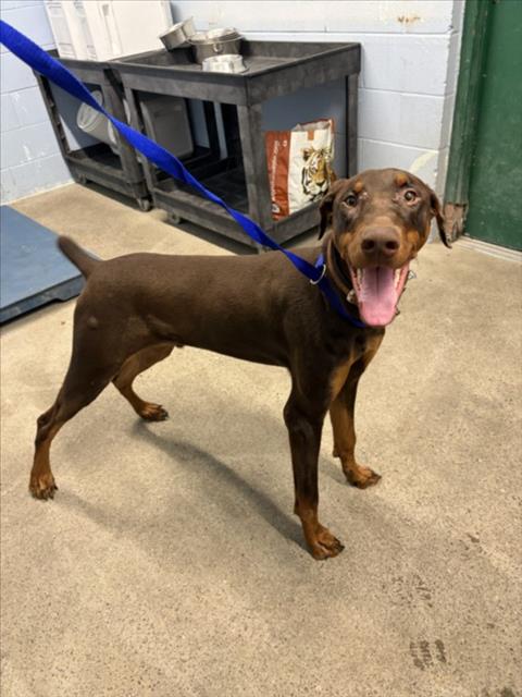 Max