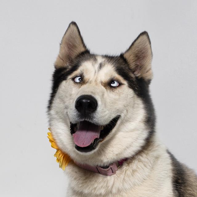 Delilah