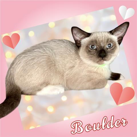 *Boulder