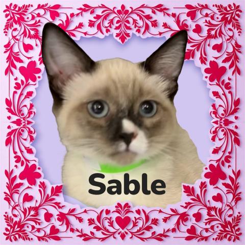 *Sable