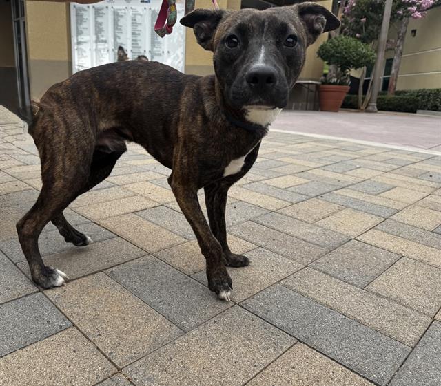 Max