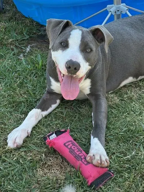 Cooper