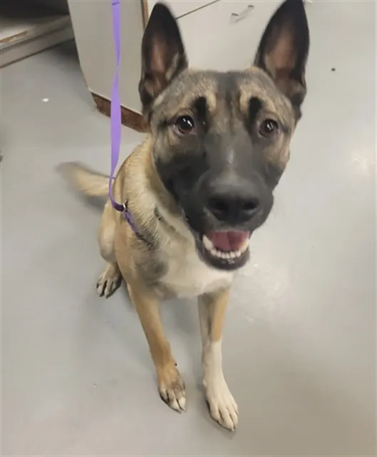 Zeke