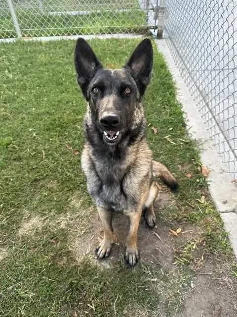 Bella