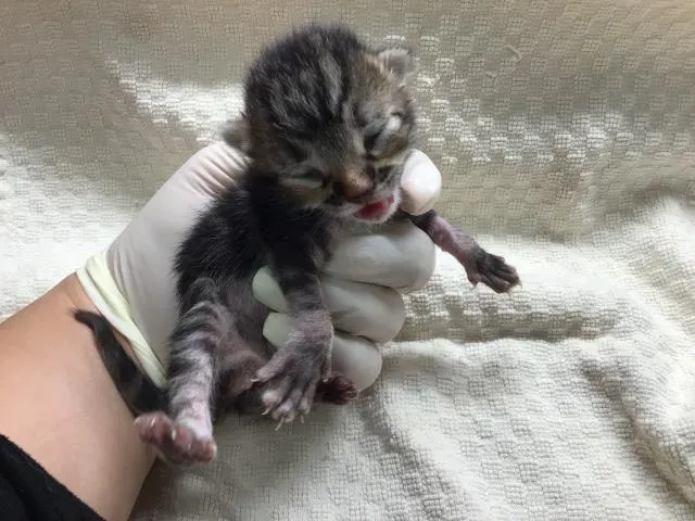 Andy