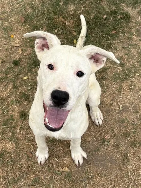 Sally