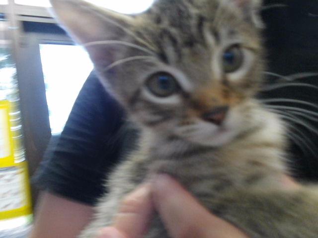 Theodore