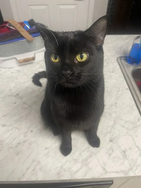 Luna