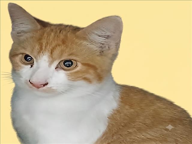 Dee