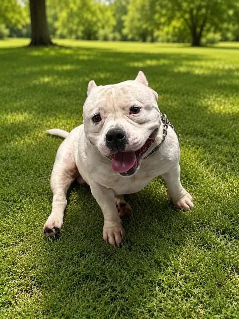 Bobby