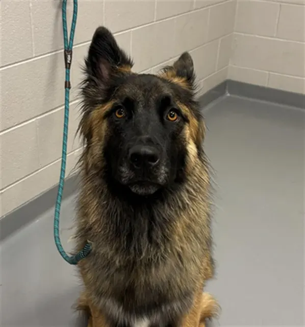 Milo