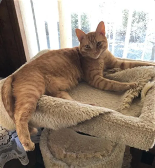 Sammy