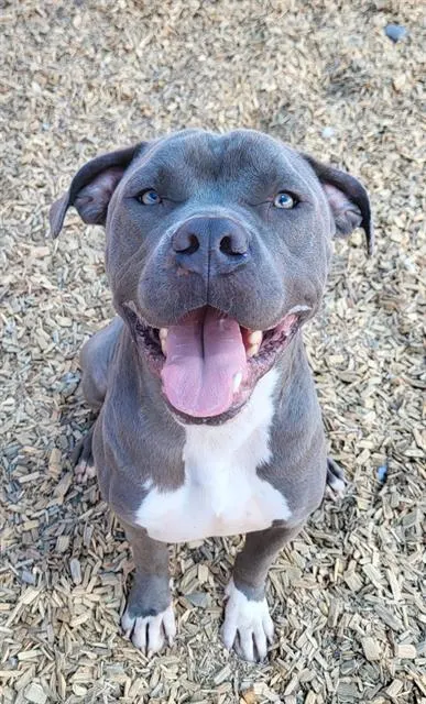 Leroy