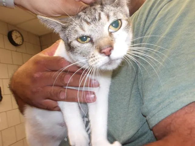 Penelope