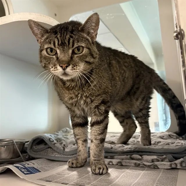 Tom